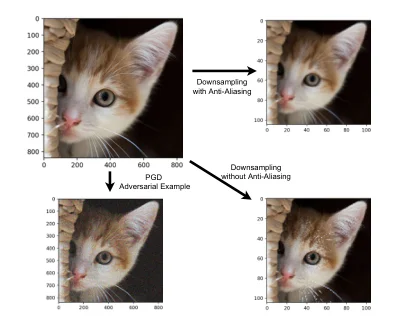 A cat image after correct downsampling, aliased downsampling, and an adversarial attack.
