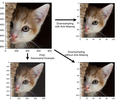 Original, correctly downsampled, aliased, and adversarially perturbed cat images.