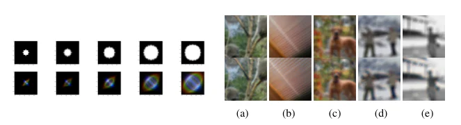 Optical blur kernels and the resulting image distortions.