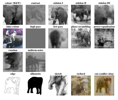 Images illustrating appearance and shape changes in the robustness evaluation.