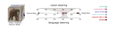 Texture and shape preferences under visual and language steering.