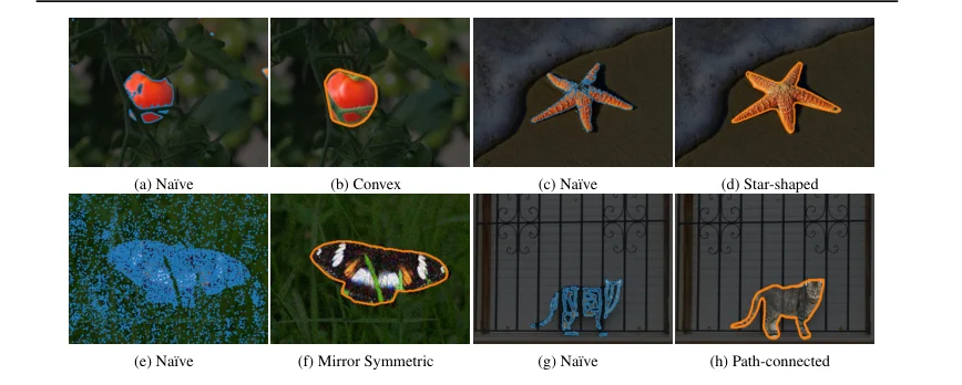 Image segmentations with convexity, symmetry, star-shape, and connectedness constraints.