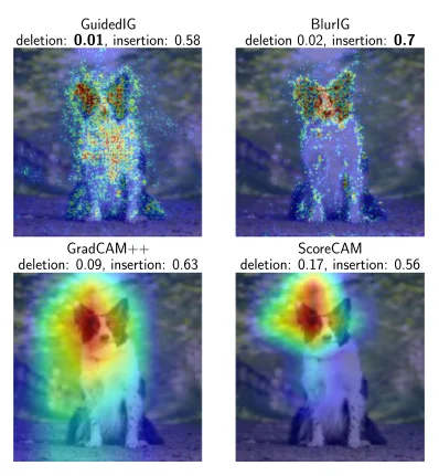 Attribution maps with different insertion and deletion evaluation scores.