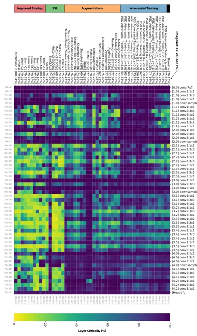 Layer criticality across differently trained vision models.