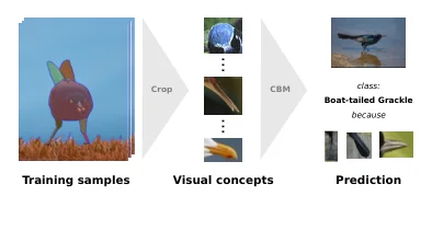 Visual concepts extracted from training-image regions and used for an interpretable prediction.