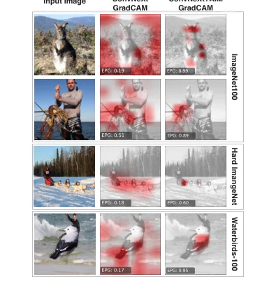 Attribution maps showing where different image classifiers focus.