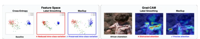 Feature distributions and attribution maps under different regularization methods.