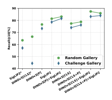 Retrieval performance of foundation-model embeddings on random and challenging spare-part galleries.
